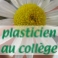 plasticien au collège Savenay