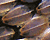 ecaille D