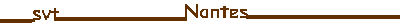 logo_ac_nantes