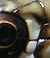 préoculaire C