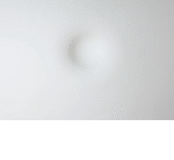 Anish Kapoor Bombay (Inde), 1954  Sister piece of When I am Pregnant 2005 Fibre de verre, plâtre, peinture 198x152x50 cm  