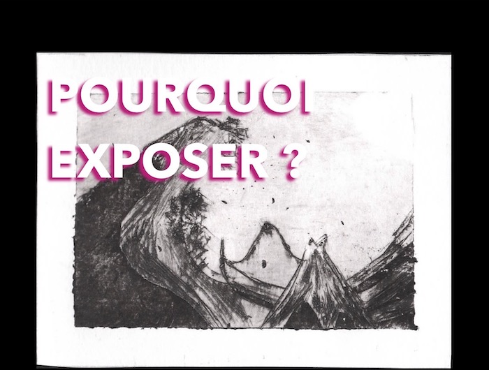 POURQUOI EXPOSER ?
