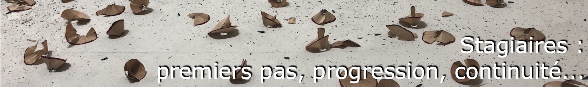 Stagiaires : premiers pas, progression, continuité...