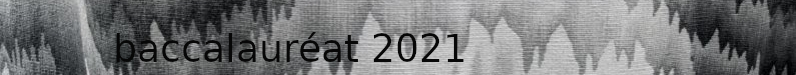 baccalauréat 2021