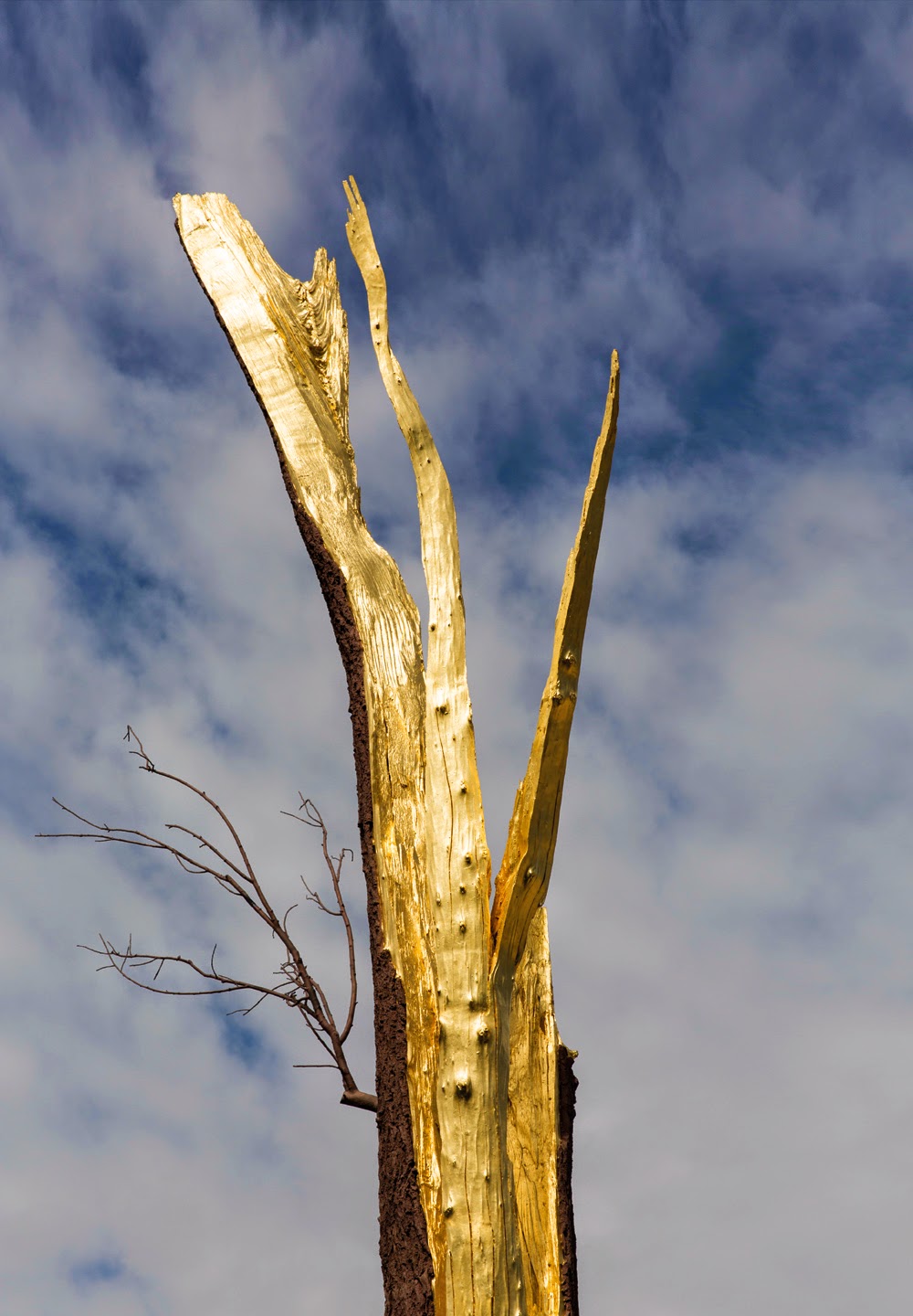 Albero Folgorato