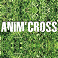 Vignette anim'cross