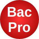 Logo Bac Pro