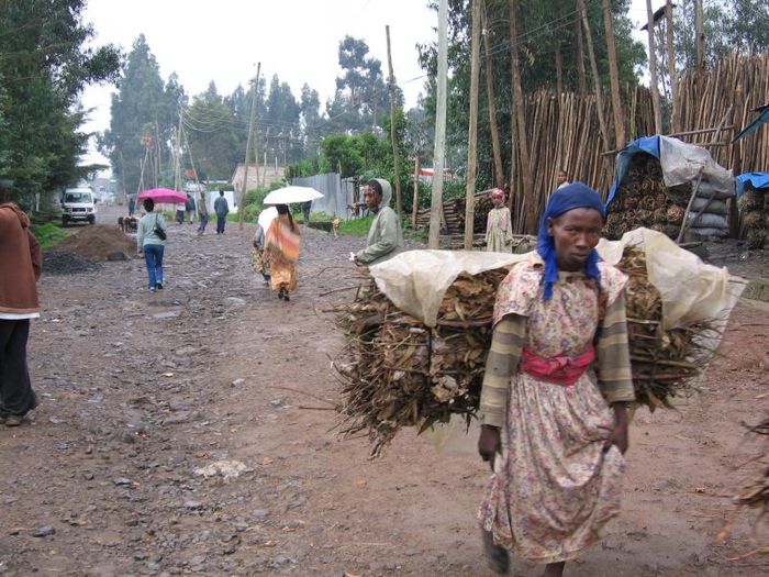 le bois pour la cuisson Addis Abeba