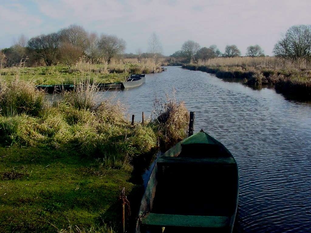 Le marais de la Brière