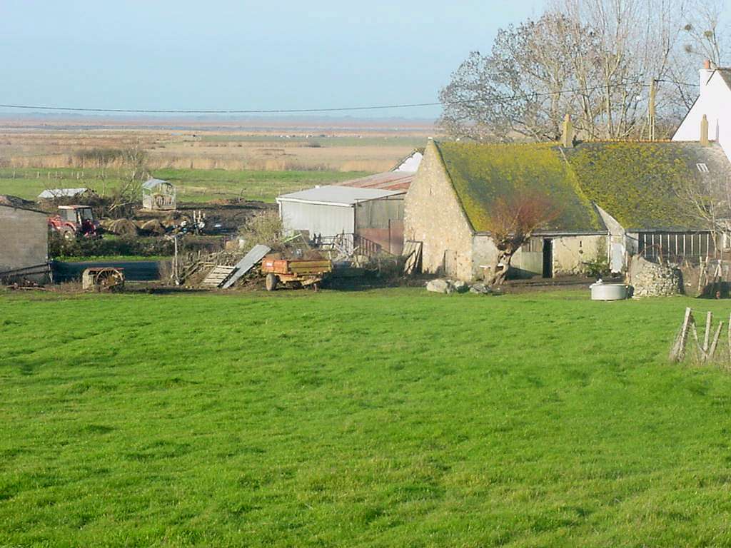 Ferme dans le marais