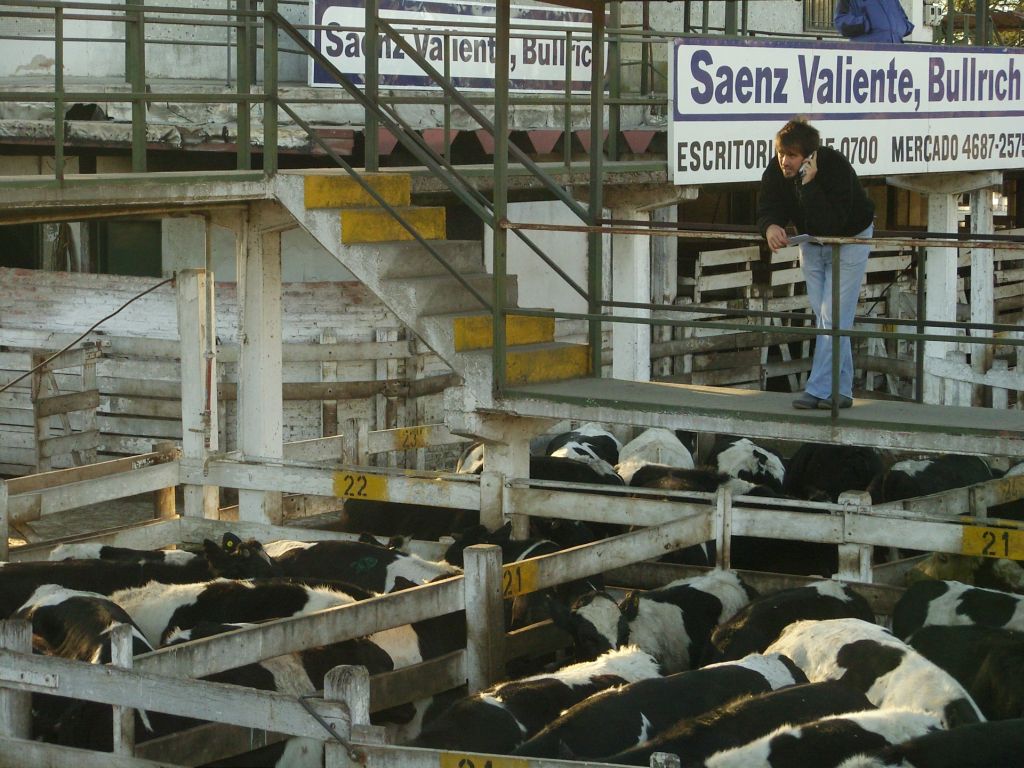 Le plus important marché aux bestiaux d'Argentine