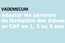 Adapter les parcours de formation des élèves en CAP 1, 2 ou 3 ans