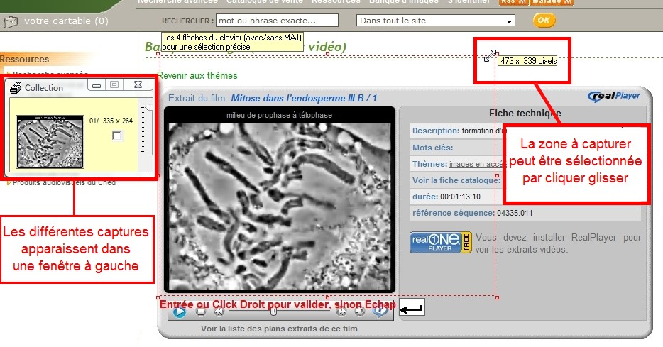 Capture d'une image de la video avec Capturino