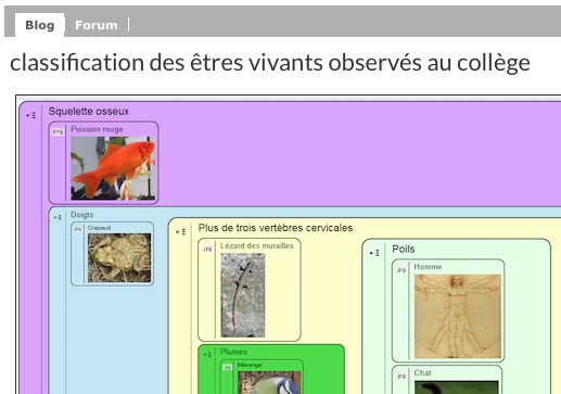 classification dans e-lyco