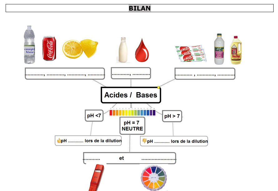 Carte mentale bilan