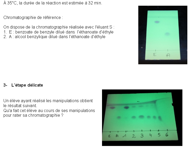 Document élève extrait 3