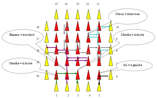 circuit lilas