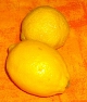 citrons