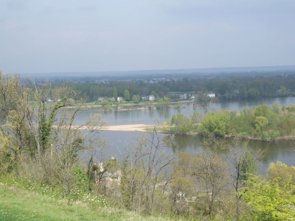 le confluent de la Vienne et de la Loire