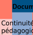 ContinuitePedagogique.png