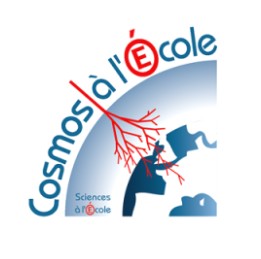 logo cosmo