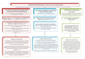 Dispositifs internationaux