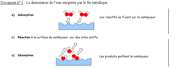 Document 2 : la dismutation de l'eau oxygénée par le fer métallique