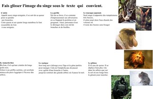 copie d'écran TNI copie d'écran TNI
