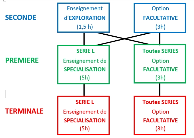 enseignements lycée