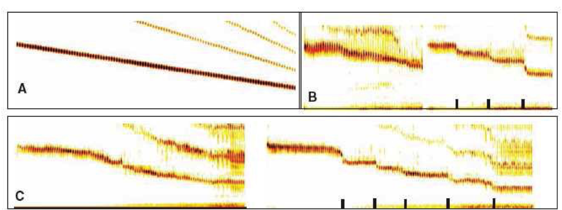 figure1