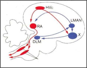 fig-5