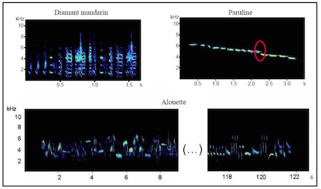 cliquer pour agrandir (figure 7-1)