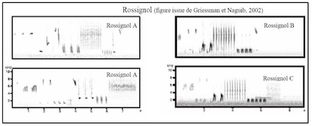 cliquer pour agrandir (figure 7)