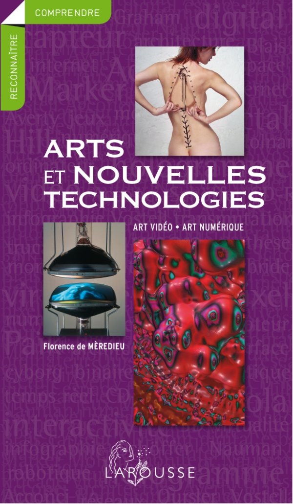 Florence de Mèredieu, Arts et nouvelles technologies - art vidéo, art numérique