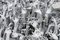 Hands-Migration-Help-2582585.jpg
