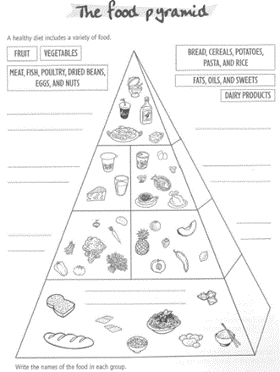 illustration otr07 - food pyramid - 2