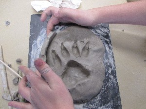 plasticien au collège Savenay