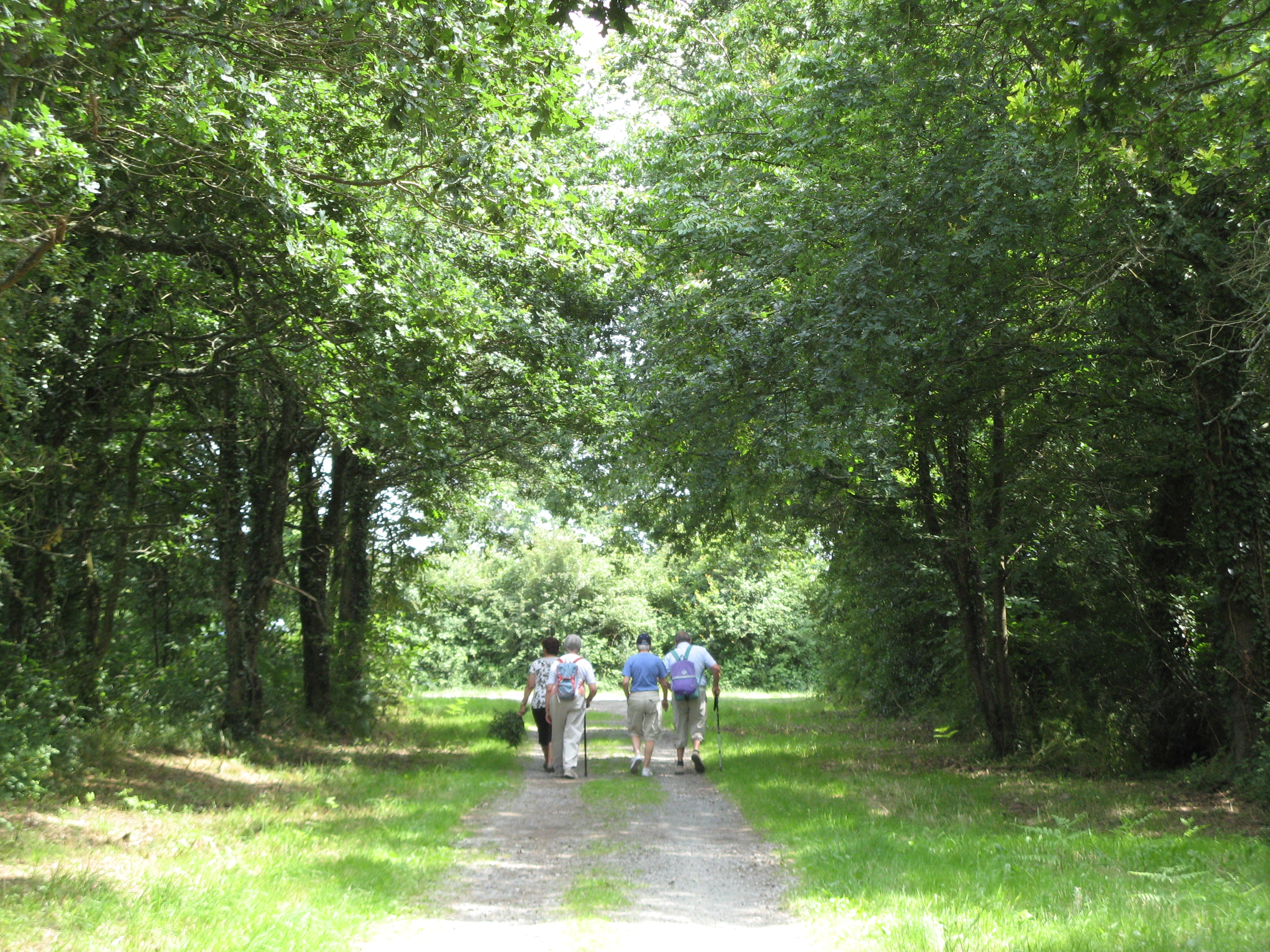 espace de promenade