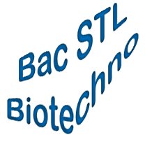 logo_bac_stl_bgb.jpg