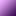 puce transposition didactique