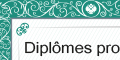 Diplôme professionnels