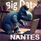 Logo Big Data - vignette.png