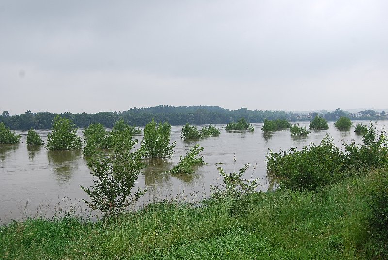 La loire en crue en aval d'Angers