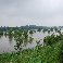 La loire en crue en aval d'Angers