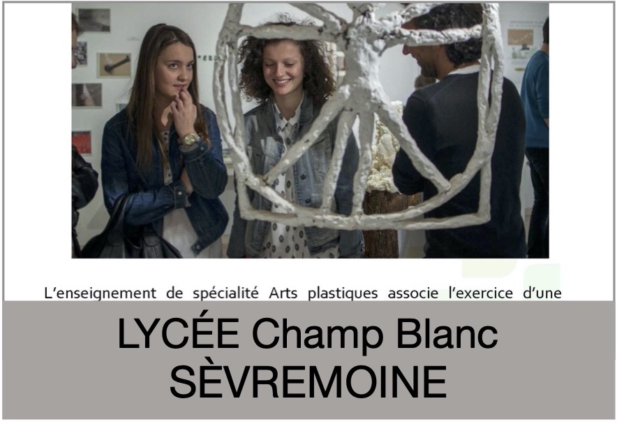 lycée Champ Blanc - Sèvremoine