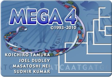 mega01 mega01