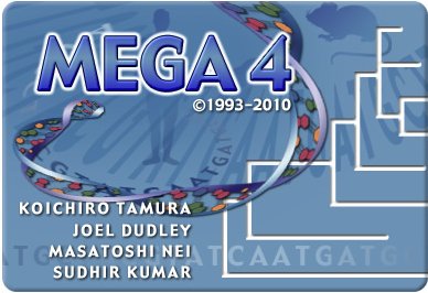 mega01