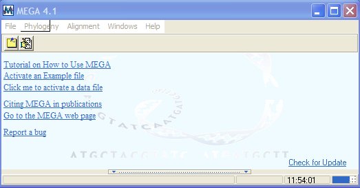 mega05 mega05