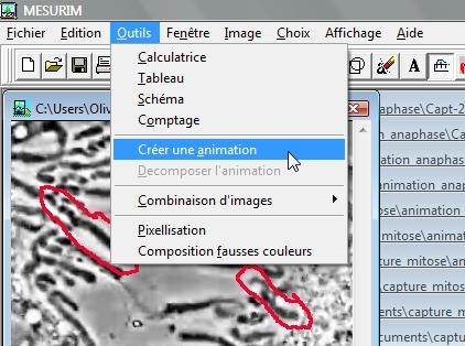 Outils Animation de mesurim