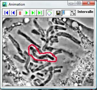 Outils Animation de mesurim